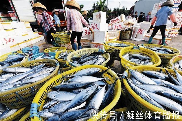 烹饪|买鱼就选择这5种鱼，刺很少，味道还特别鲜美，是烹饪的好食材