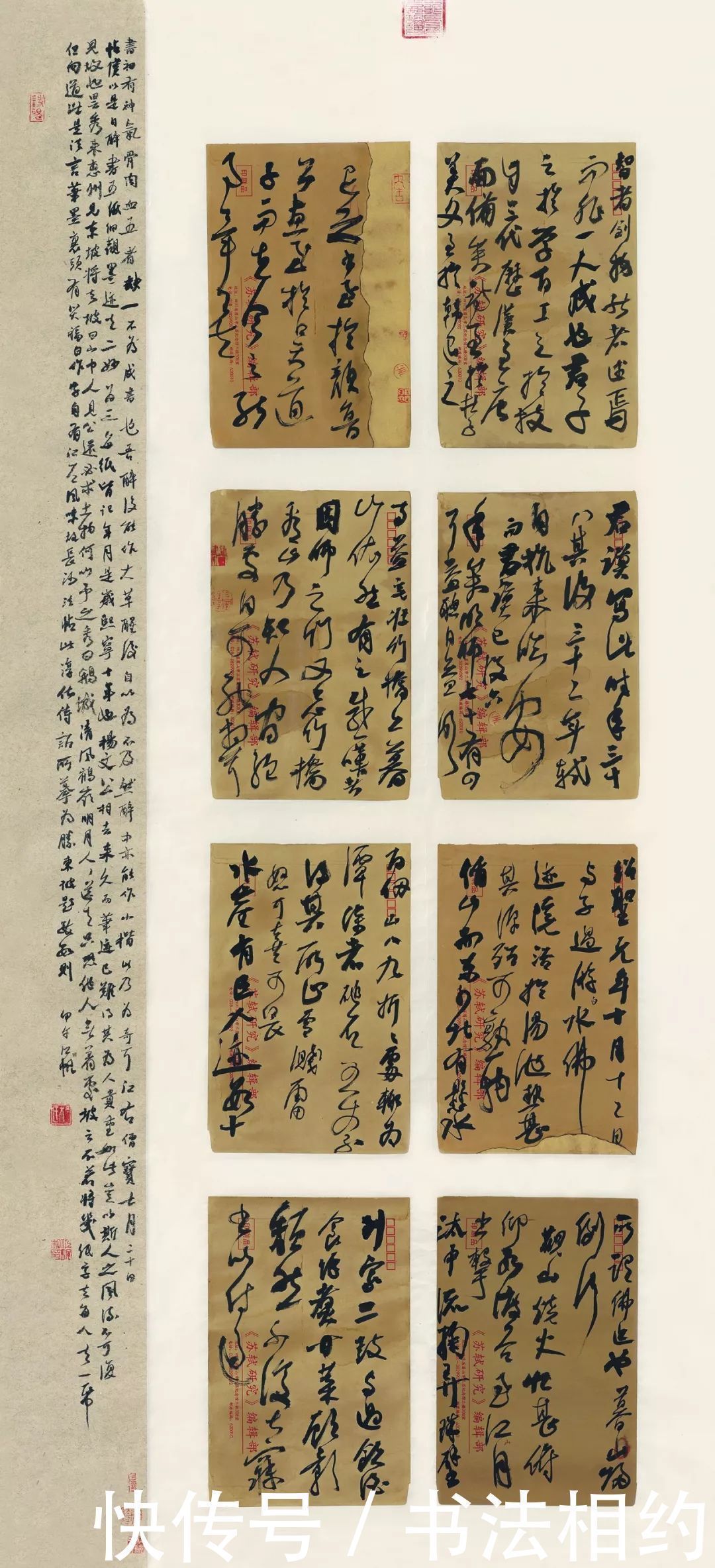 得主|“兰亭奖三连冠”得主杨江帆的书法灵活随机,沉稳沉静,笔笔精彩