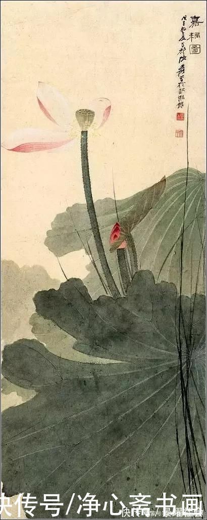画荷@他不仅爱荷花还爱松树,一生酷爱荷花无数,究竟为什么呢