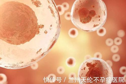 活性|生活中可以如何保护卵子?