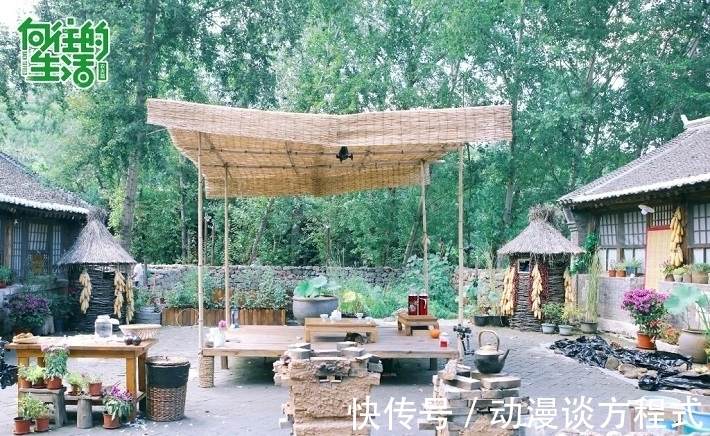 ip|从7.6到6.8,《向往的生活》为什么越来越让人“看不下去”?