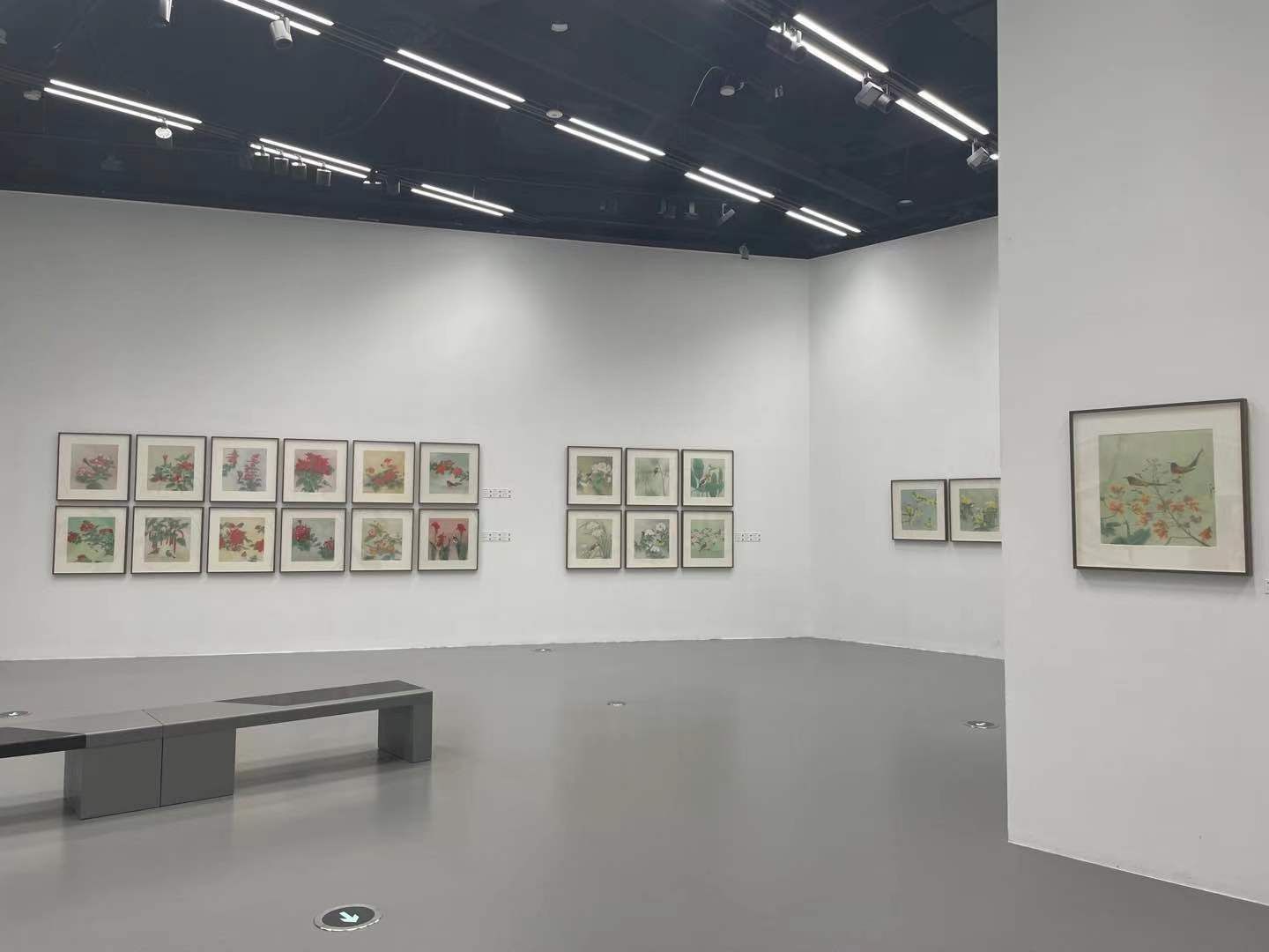 花鸟画|十年，这位上海画家画了100幅花鸟图，与花博会的鸟语花香交相辉映