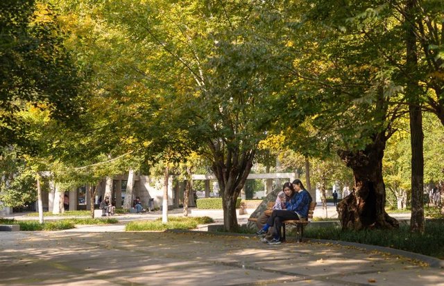 带你走进山东大学，在那里学习是什么样的体验