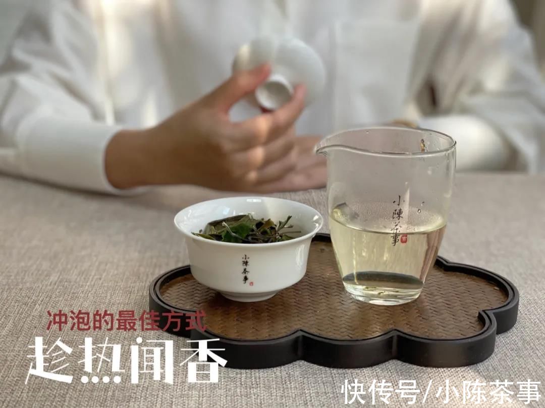 区别！一样的白茶，闷泡与快出水有什么区别？一篇文章说清楚，很全面