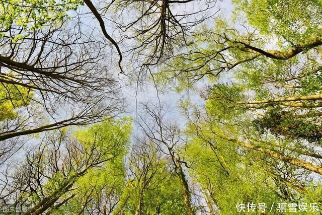 你站在桥上看风景，看风景的人在楼上看你，诗意近在咫尺