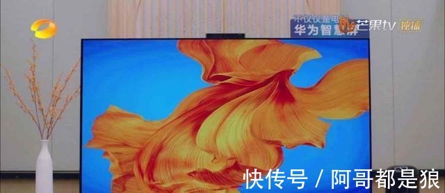 人的價值|《元氣滿滿的哥哥》喜迎“智慧管家”，華為智慧屏成為新伙伴