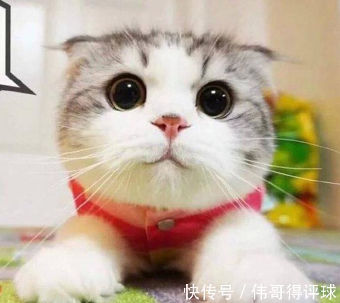 |搞笑段子:笑能笑出腹肌,为什么我不行