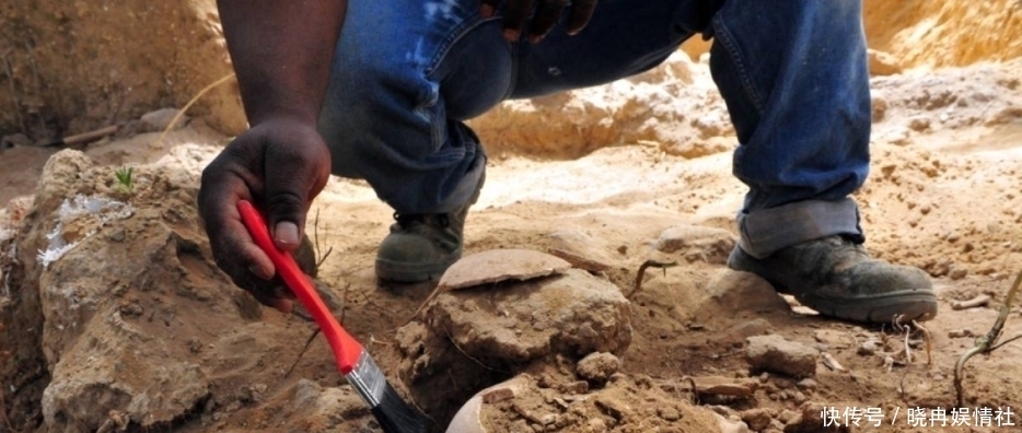国家|真实事件!我挖我祖坟!考古教授挖到自家祖坟,无私奉献为国家