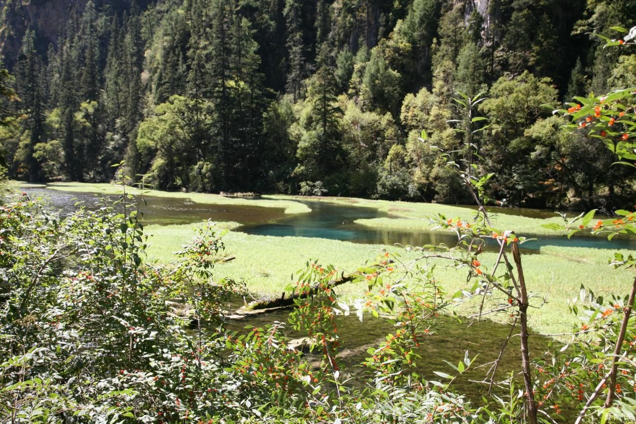 梦的开始，九寨沟之旅