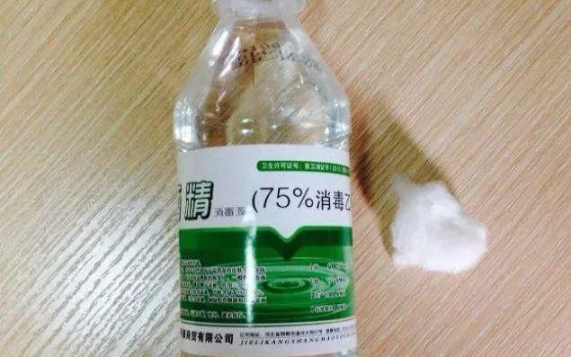 冬天用上这六种武器,盆栽虫子统统消失