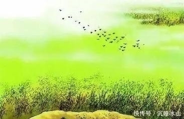 萋萋$十五首描写小草的古诗词,为君闲暇助兴,茶余饭后解闷