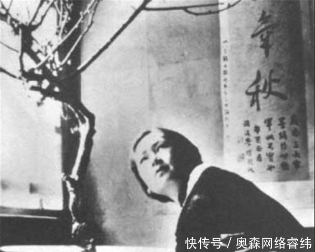 父亲林长民|自小聪颖,虽为女子却备受父亲宠爱的林徽因,却有个自私的母亲