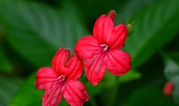 父母|孩子以后能否成大器,和成绩无关,这3句话点醒无数父母