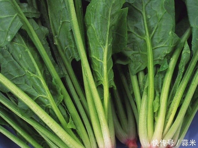 想长寿就多吃这些食物,延长经期,延缓衰老,精力旺盛,防癌等