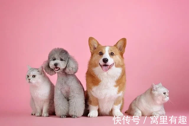 窝友|三招,轻松打造90后品质家居!