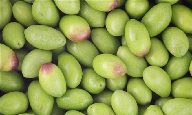 干咳|干咳喉咙痒,老中医让我用它泡水煮着喝,祛表止咳清热解毒