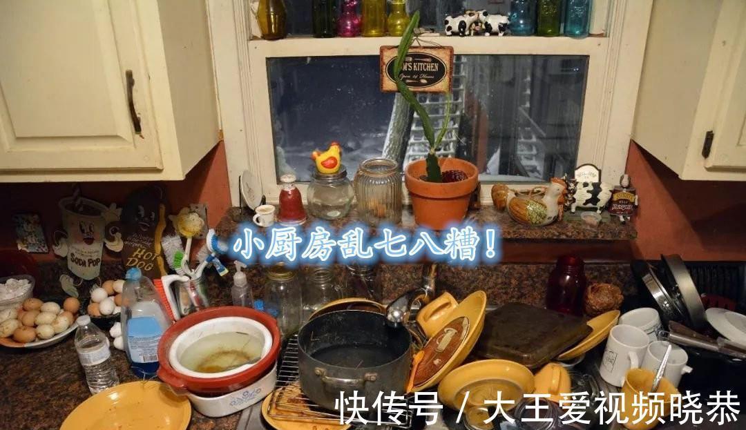 开放式|“冰箱式”厨房,国外早就很流行了!看着像柜子,打开该有的都有