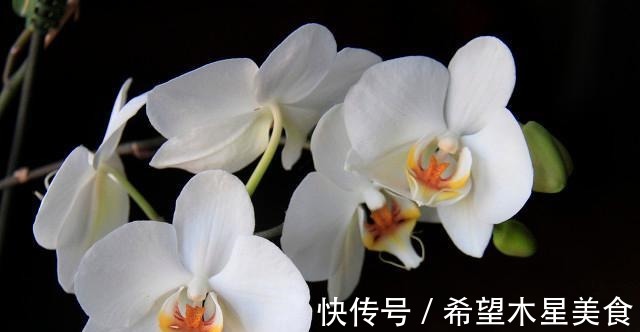 锻炼身体|28岁女孩学游泳锻炼身体,私教教练却百般骚扰,我怕了!