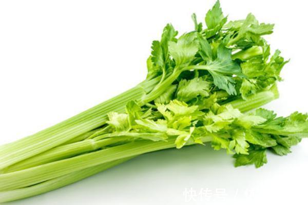 月经|女性来月经了,此几种食物要舍得吃,补血暖宫痛经不来扰