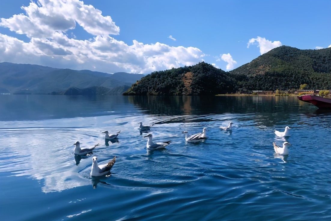 明珠|丽江有个高原明珠景点，风光旖旎，民风质朴，年接待游客过亿