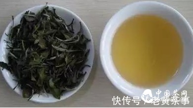 每个季节的好茶,应该这样挑选