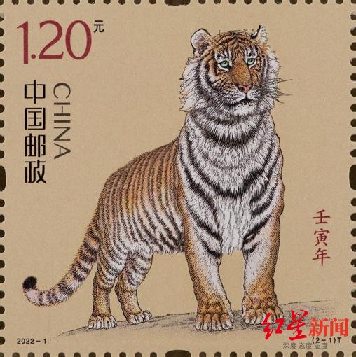 中国邮政|虎年生肖邮票被网友吐槽没有虎威满脸愁容，作者回应：做了拟人化处理