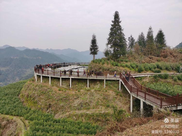 神秘湘西过大年：做客国茶村