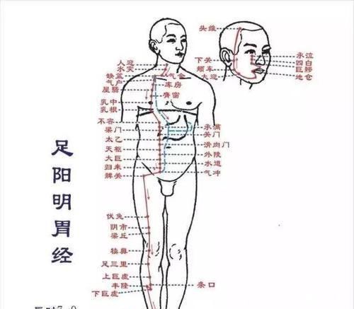 眼袋|这两个穴位一按湿气全跑光肥胖、水肿、脚气无影踪