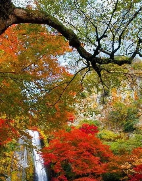 中老年人|50岁以后，不要自作多情