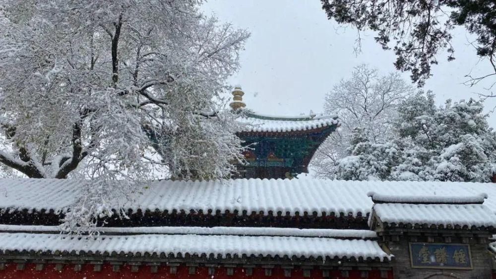 亮相|嵩山雪景亮相央视！