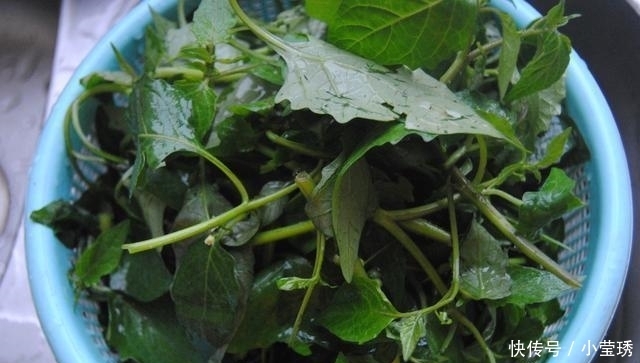 吃肉|天气炎热, 吃肉不如喝这汤, 清爽甘甜还解暑, 一碗下肚全身舒坦