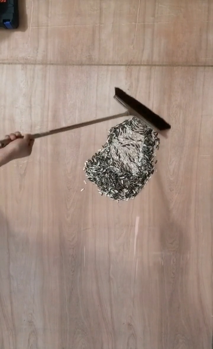 女子吃完瓜子不吐壳,现场用瓜子壳画出