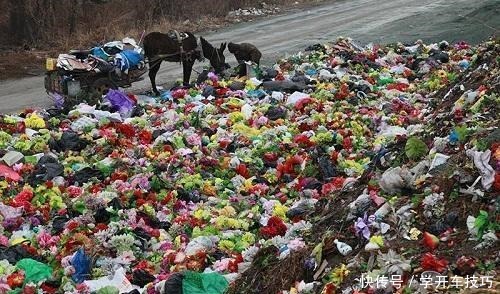 大妈养花一分钱没花，花和花盆都是“捡的”，真是让人想不到！