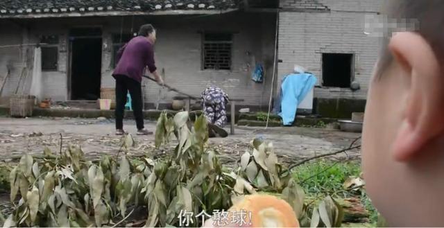 两岁小孩被妈妈揍了，去外婆家避风头，结果到外婆家一看扭头就走