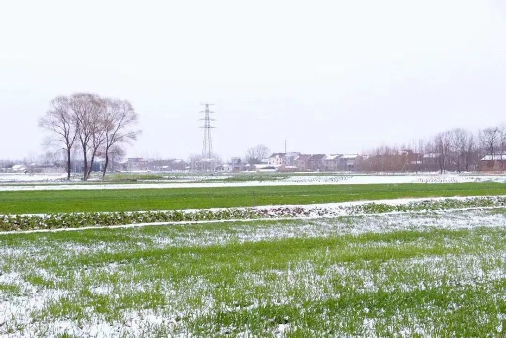 惊艳|注意！如皋初雪惊艳整个朋友圈！降温结冰，上班路上注意安全！