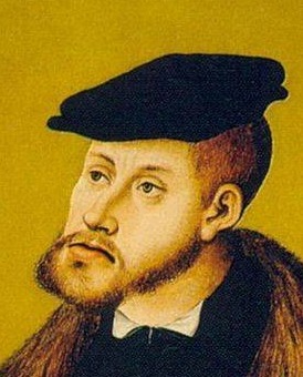 博物馆|一个因为下巴覆灭的王朝