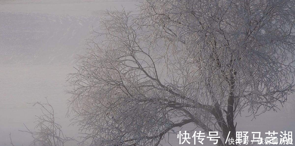 花儿$李煜一首《相见欢》,道尽人生痛苦与苍凉,字字带泪