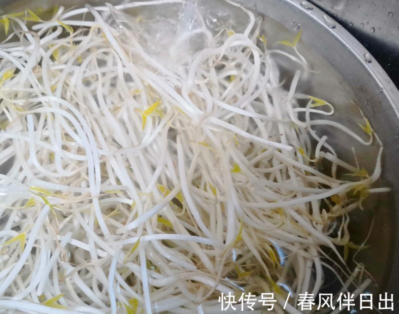 青辣椒|豆芽和它是一对，高蛋白低脂肪，夏季就该弄一碗