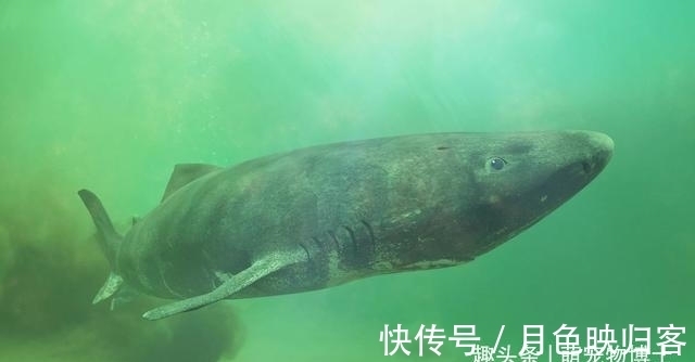 禁止喂动物的英语咋说