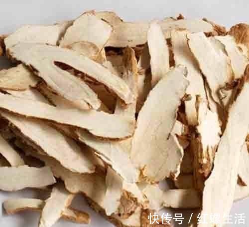 白术|脾胃失调的人,六种食物换着吃,健脾养胃,还能促进消化