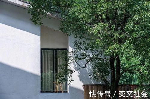 草木|他归隐山林,租了栋800㎡废弃三合院,改造后,却让网友羡慕不已