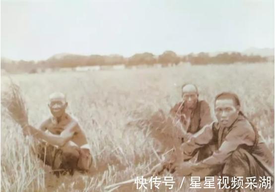 水车|绝密老照片,揭露百年永州的真实面目