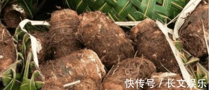 活性|患了癌症不用慌, 常吃这些小食材, 癌细胞或许会和你说拜拜