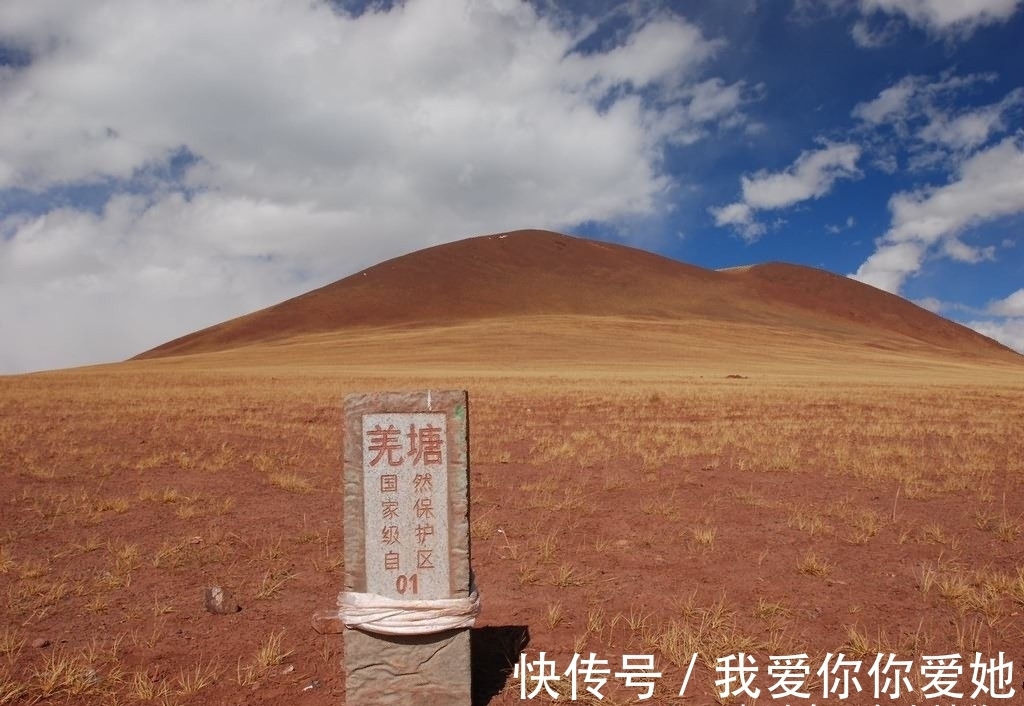 面积|面积最大的生命禁区，二十九万平方公里渺无人烟