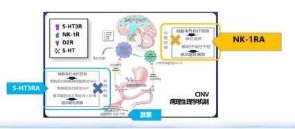 大团圆前又得癌！影视剧中的那些癌症“套路”，你看懂了吗？|健康过年 | 手术