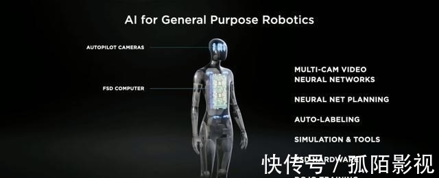 bot|造车，只是马斯克的副业？