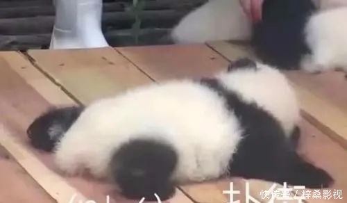 艺人 一部剧扑的程度?女艺人怎么除腋毛?剧本评估?刘端端私下为人?