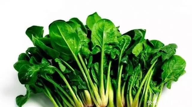 像风一样|老祖宗留下来的100个治病秘方,非常珍贵请务必记住