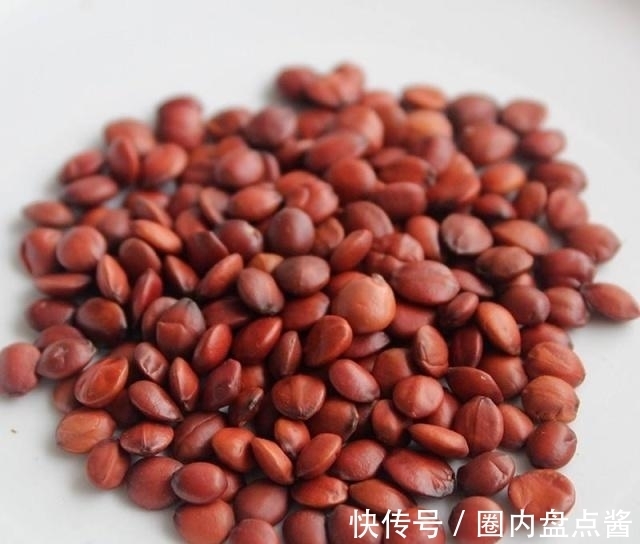 酸枣仁酸枣仁|失眠的人,远离3个误区,经常吃2物,慢慢提高睡眠质量