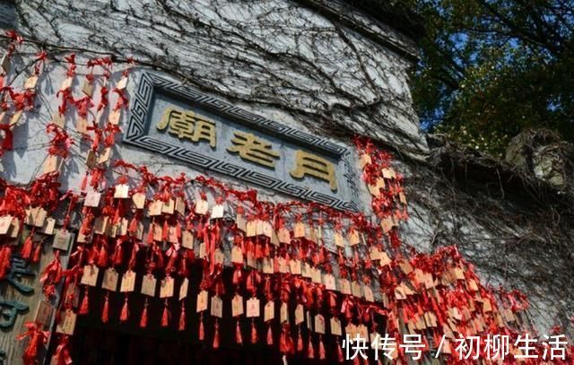 网络小说|5本香火流网络小说：设定新奇脑洞大，书荒时候好粮草